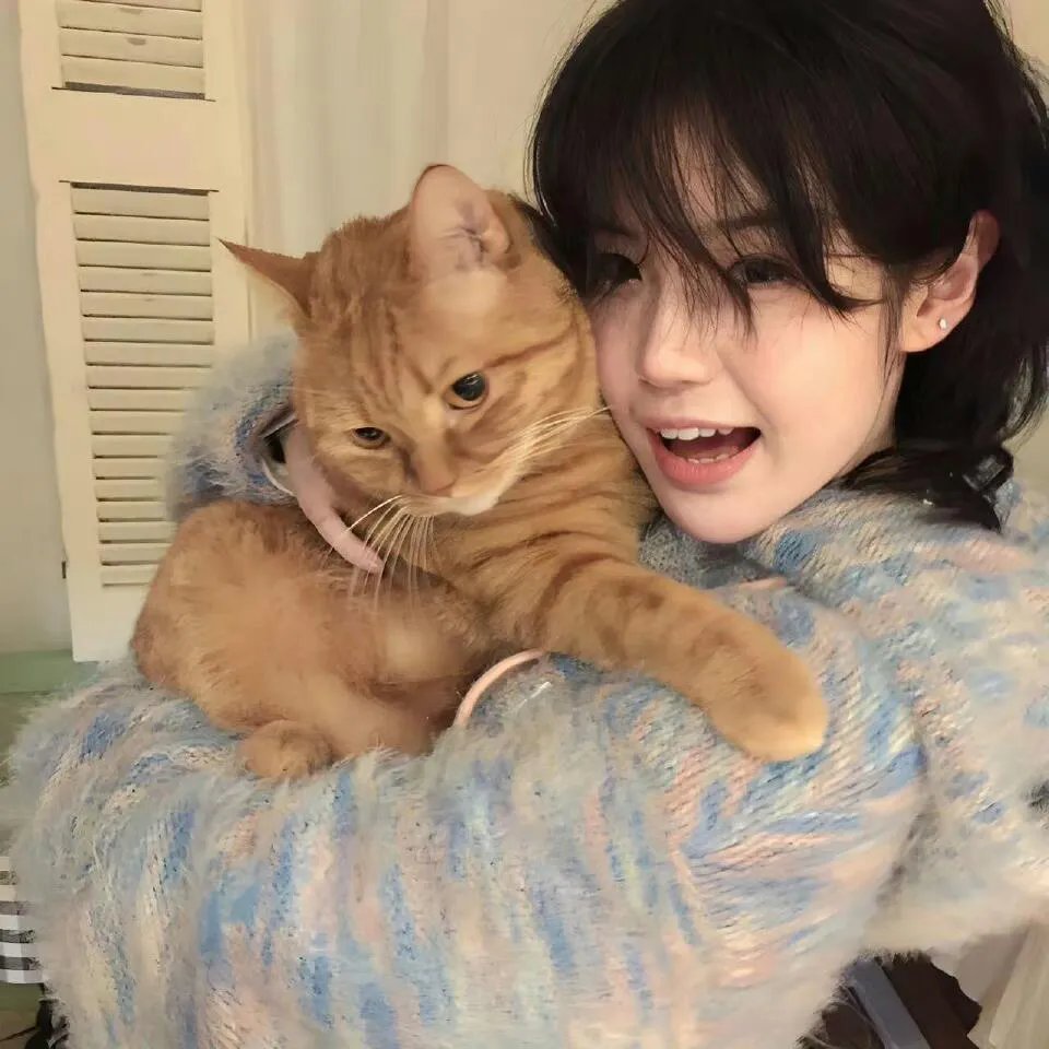 你是我的温柔陷阱